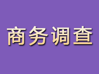 岳阳商务调查