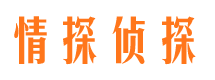 岳阳捉小三公司